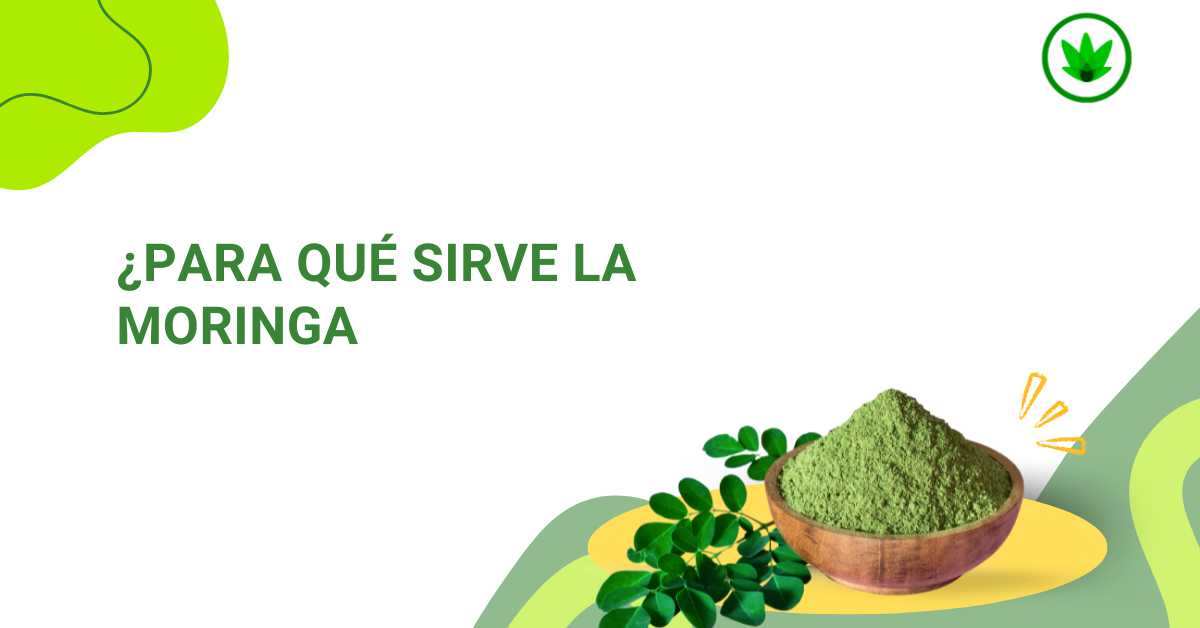 ¿Para qué sirve la Moringa?