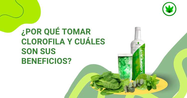¿Por qué tomar clorofila y cuáles son sus beneficios?