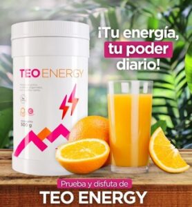 teoenergy2025 teoma sanateperu (2)